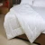 Import China Factory White Duck Down Quilt For Hotel from China