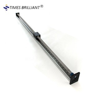 China factory wholesale low price 1000mm travel length ball screw linear motion actuators guide rail for cnc machine