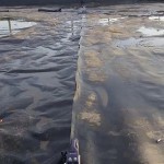 China geosynthetic clay liner geomembrane and geotextile