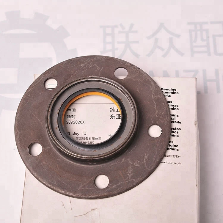 China made high quality diesel engine part Crankshaft Oil Seal 3892020