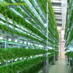 China Manufacturer vertical farm equipment