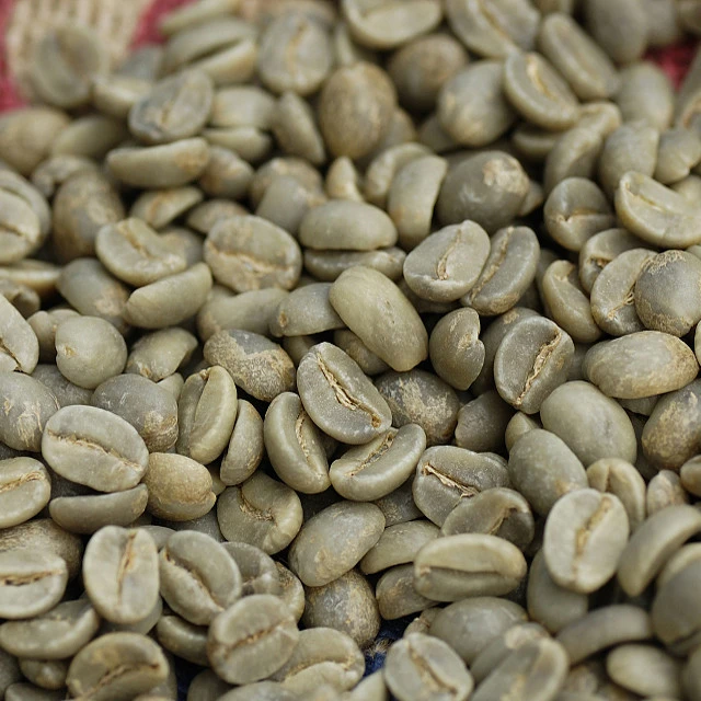 Chinese Arabica Green coffee beans