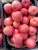 Import Chinese hot sale high quality fresh Red Fuji Apple from China
