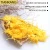 Import Chinese tea High Quality Golden Filiform Chrysanthemum Flower Tea from China