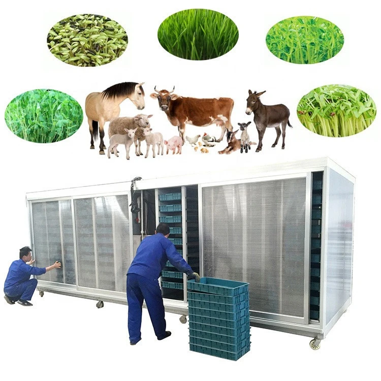 Commercial Hydroponic Wheat/Barley/Green Grass Forage Sprouting System