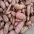 Import corp yellow and purple best qualify sweet potato from China