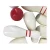Import Custom Bowling Balls Outdoor Games Wooden Ball Bowling Pin Color Bowling Game from China