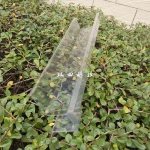 Custom clear PVC PC acrylic  plastic shell, thermoforming clear plastic parts, thick vacuum formed clear plastic product