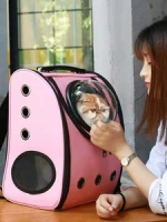 Customized Outdoor Portable Transparent Breathable pet backpack PC space capsule pet cat dog travel backpack