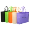 Customized Promotional Recycled Non-woven Pla Tote Carry Non Woven Bag Print Shopping Fabric with Logo Handled