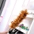Import D-JM Factory Wholesale Cheap Colored Chicken Feather Duster from China