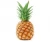 Import Delicious and Fresh Pineapple from a Premium Exporter from USA