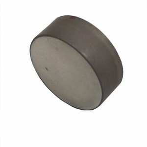 Dia.27.4mm Piezoelectric Ceramic Plate for fishing finder transducer