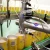 Import Doser Filling Machine Liquid Nitrogen Doser from China