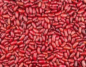 Dried Dark Red Kidney Beans with Big Size