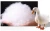 Import Duck/goose down/feather materials 800 loft in bulk from China