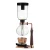 Import Ecocoffee BEST Classic  Style Coffee Syphon Machine  3/5 cups Counted Tea/Coffee Siphon Espresso Coffee Maker from China