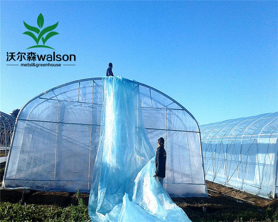 Economic Plastic Film Tempered Single-span Agricultural Glass Greenhouse Connected With Gutter