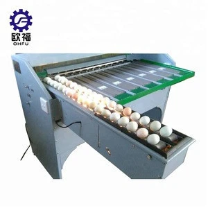 egg size sorting machine grader with printer/egg classification machine/commercial egg separator