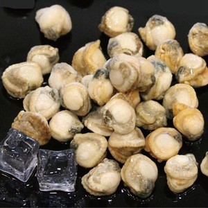 Excellent Source Of Protein And Zinc IQF Frozen Scallops