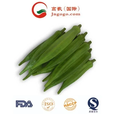 Export Quality IQF Frozen Okra Cut and Frozen Vegetables