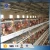 Import Factory price supply Design layer chicken / broiler chicken/chick cages for poultry farm from China