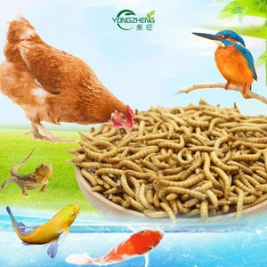 factory price top quality animal feed Fresh pet food bird food dried worms