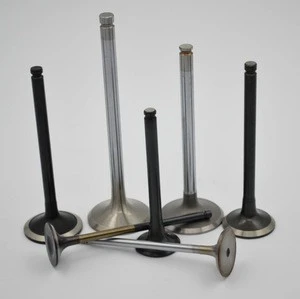 Factory price wholesale high quality engine valve for Japanese car