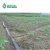 Import Factory provided agriculture irrigation drip pip PE soft Pipe from China