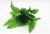 Import Factory wholesale CBSC002 home decoration simulation flower green plant wall simulation persian grass leaf artificial fern from China
