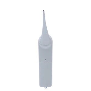 FDA CE ISO 2019 new Manufacturer products Medical home Use Dog rectal Digital Pet Vet Animal Veterinary Thermometer