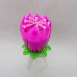 Flower music fireworks birthday candle