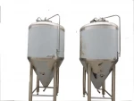 Food & Beverage Factory Applicable Industries and Fermenting Equipment Processing 100L 200L fermentor  tank