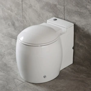 Foshan Ceramic one piece toilet bowl  bathroom sanitary ware factory Washdown Pulse induction flush toilet