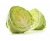 Import Fresh Cabbages from India