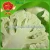 Import fresh cauliflower factory price white broccoli frozen cauliflower from China