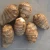 Import Fresh delicious and high quality healthy taro at competitive price from China