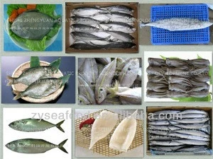 fresh frozen seafood for sale with cheap price and best quality
