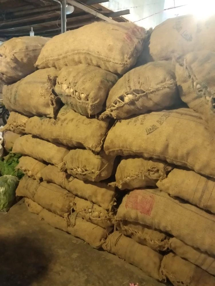 Fresh Granola Potatoes From Bangladesh