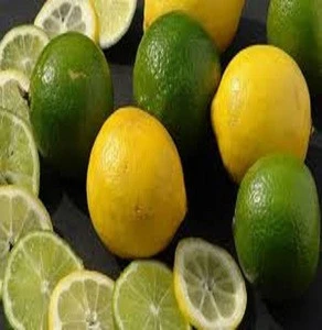 Fresh Lime/Lemon for Sale