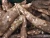 Import fresh nutritive cassava,TAPIOCA STARCH, CASSAVA STARCH FOR SALES from South Africa
