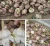 Import Fresh Style Liliaceous Vegetable Product Type fresh white garlic from China