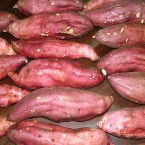 Fresh Sweet potatoes