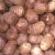 Import Fresh Taro Affordable Price from Germany