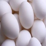 Fresh White Shell Egg