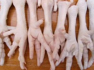 FROZEN HALAL WHOLE CHICKEN, CHICKEN FEET, PAWS, WINGS, GIZZARDS