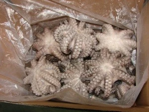 Frozen octopus Wholesale Seller 100% Best quality Bulk Quantity Wholesale rate