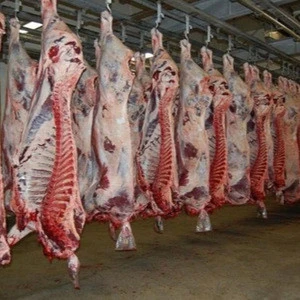Frozen whole lamb carcass/ sheep meat