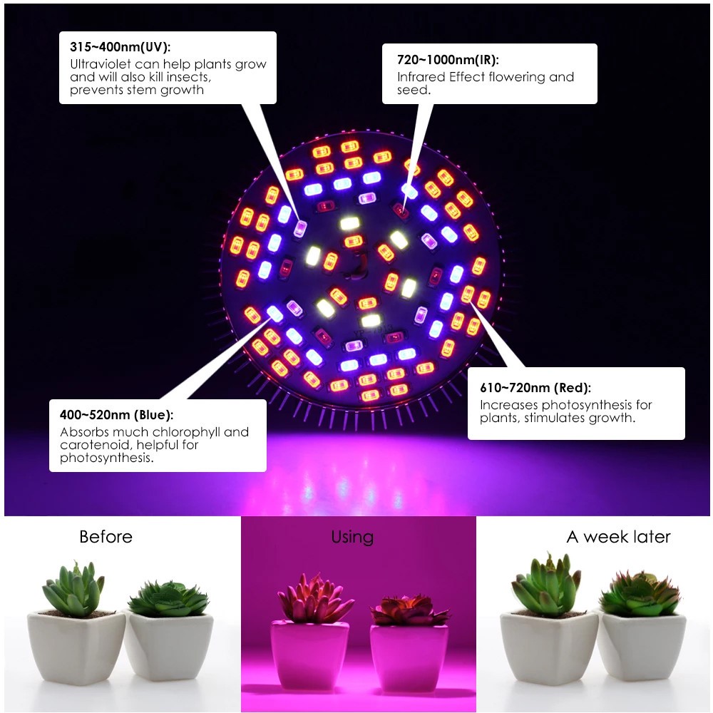 Buy Full Spectrum Led Bulb For Plant Growth 6w 10w 30w 50w 80w ...