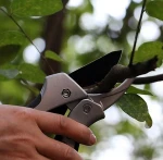 Garden pruning tools, tree pruning tools,garden tool pruning shear